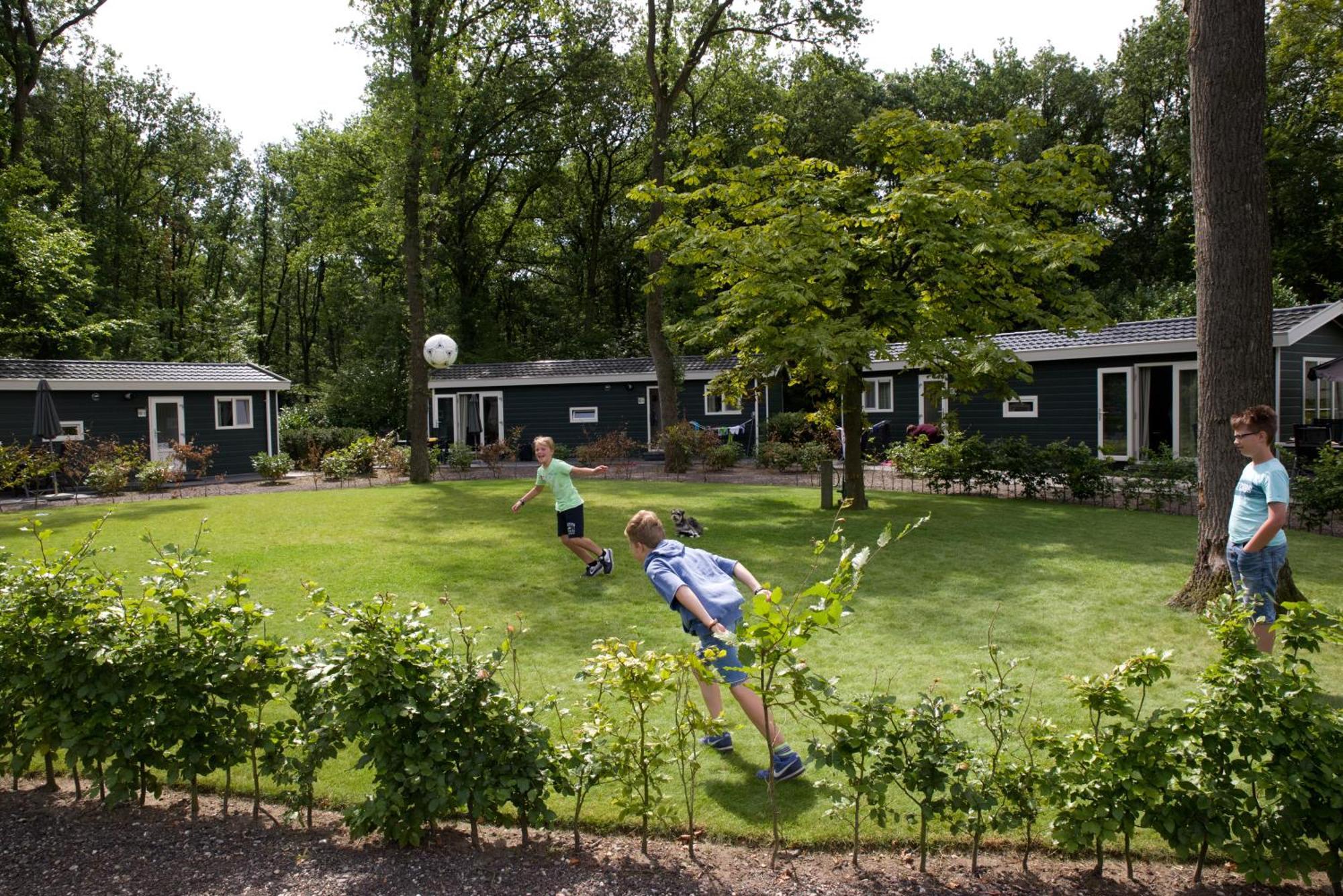Vakantiepark Bonte Vlucht Doorn Exteriör bild